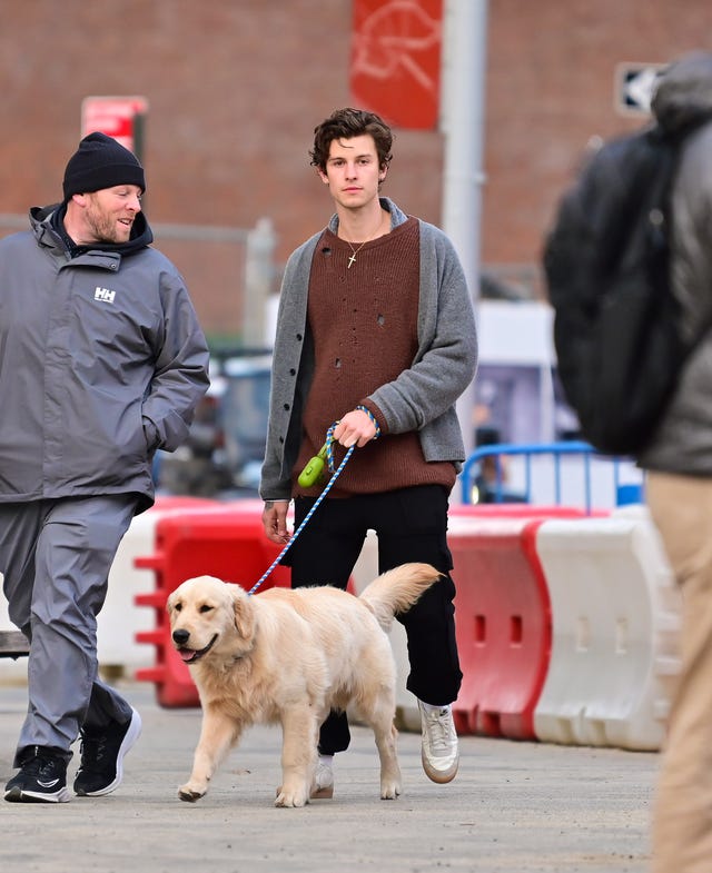 Shawn Mendes