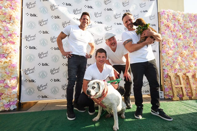 98 Degrees
